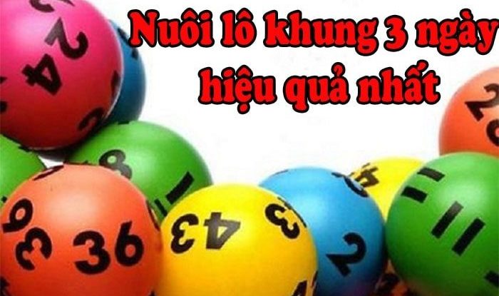 Cách phân bố vốn nuôi lô 3 ngày hiệu quả