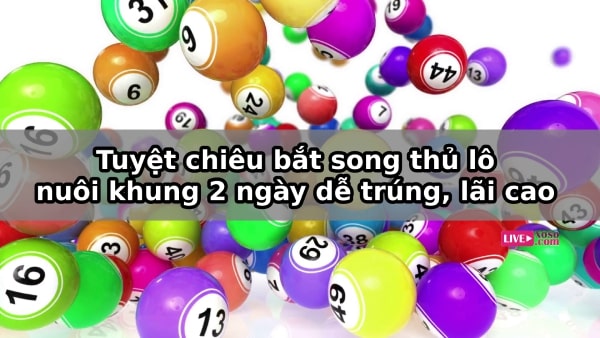 Kinh nghiệm nuôi lô theo khung 2 ngày